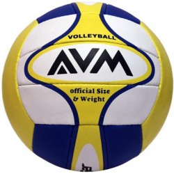AVM Leaser Volleyball